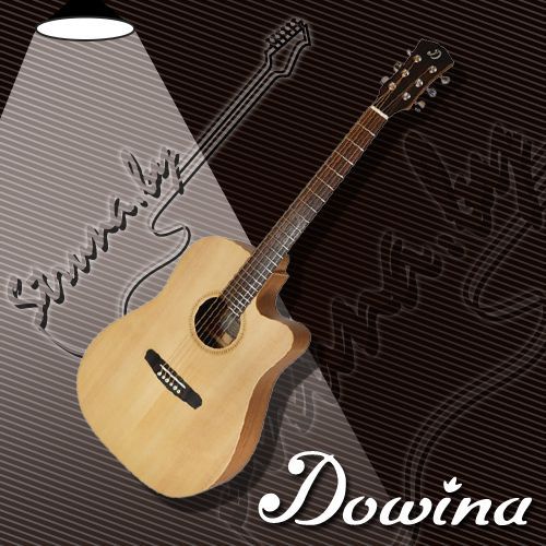 Акустическая гитара Dowina Puella DC