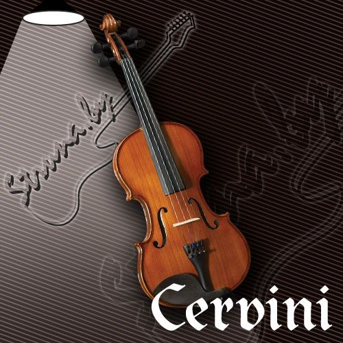 Скрипка Cervini HV-200 Novice 4/4 с кейсом