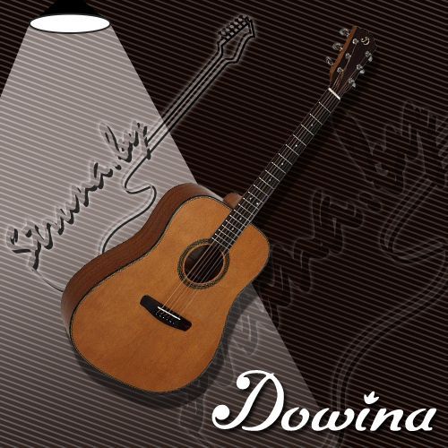 Акустическая гитара Dowina Rustica D