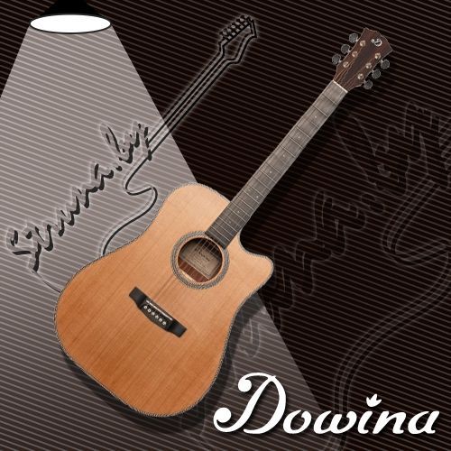 Акустическая гитара Dowina Rustica DC