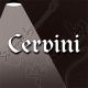 Cervini Cervini