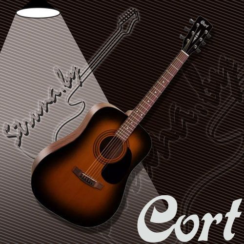 Акустическая гитара Cort AD810