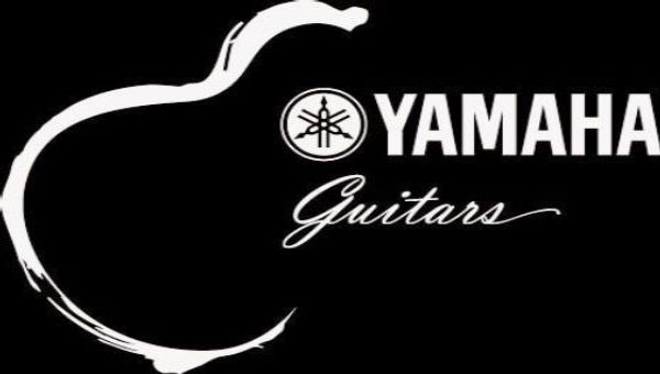 Godin Seagull акустические гитары в Минске Гитары Yamaha в Минске
