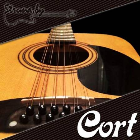 12-струнная акустическая гитара Cort AD810-12 OP