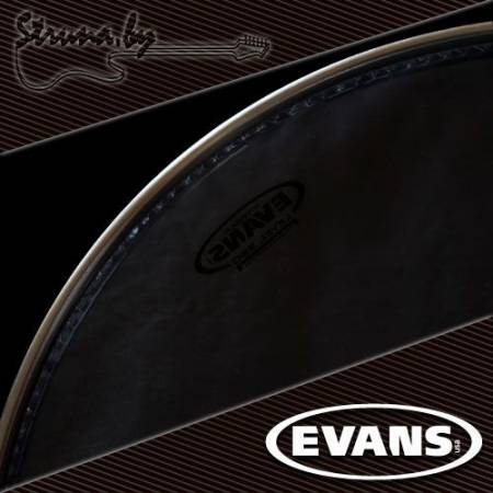 16" пластик для том барабана Evans TT16HG Hydraulic Glass