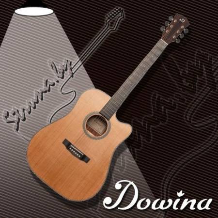 Акустическая гитара Dowina Rustica DC