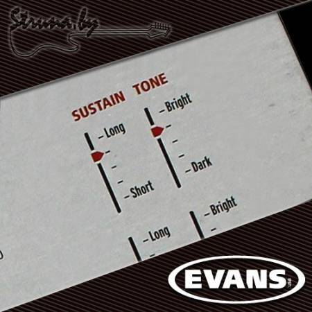 13" резонаторный пластик для малого барабана Evans S13H30 Hazy 300
