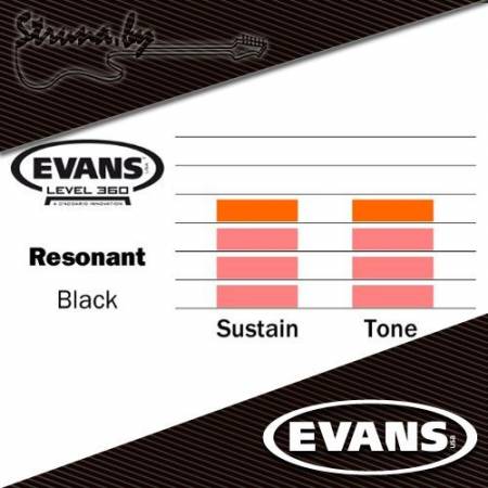 22" резонаторный пластик для бас-барабана Evans BD22RBG Resonant Black