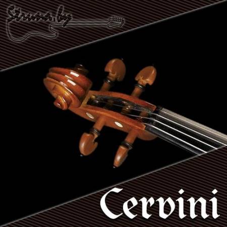 Скрипка Cervini HV-500 Educator 4/4 с кейсом