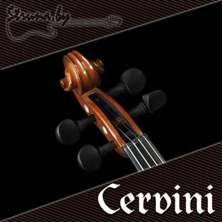Скрипка Cervini HV-200 Novice 4/4 с кейсом