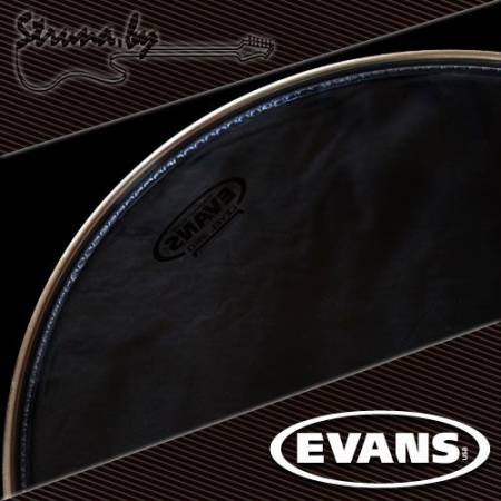 16" резонаторный пластик для том барабана Evans TT16RGL Resonant Glass