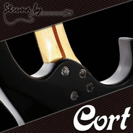 Электрогитара Cort G250 BK