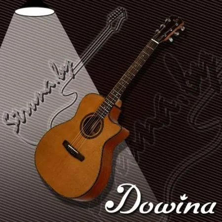 Акустическая гитара Dowina Rustica GAC