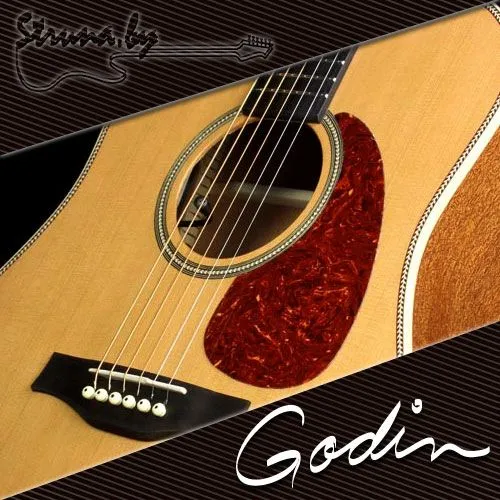 Акустическая гитара Seagull Artist Mosaic с DLX TRIC кейсом